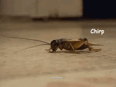 1000005191.gif