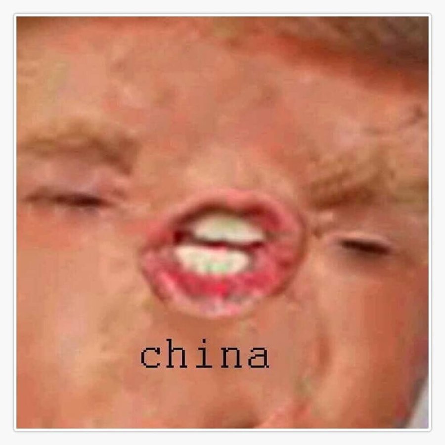 1000010997.jpg