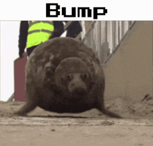 1729531151040.gif