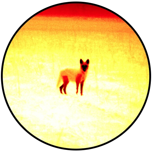 1751653637717.png