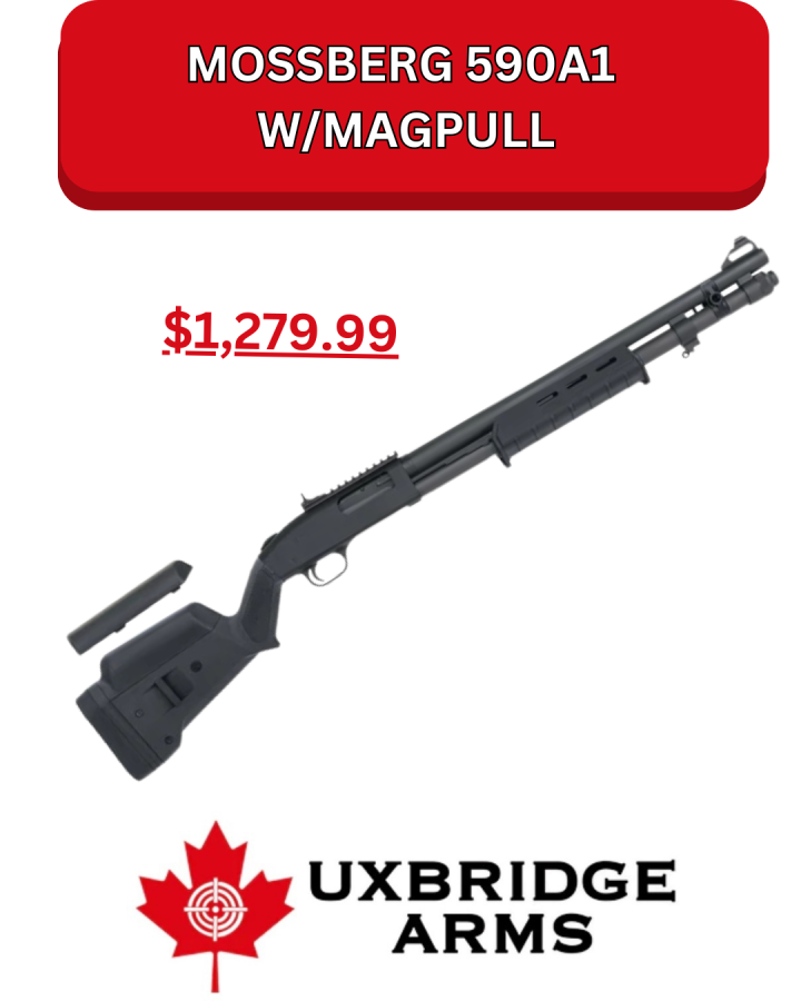 $ 590a1.png