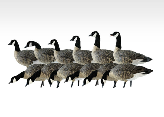 Avian X AXP Lessers 02.png