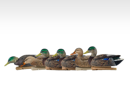 Avian X Early Season Mallards 01.png