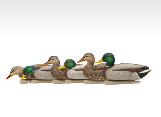 Avian X Fusion Mallard 02.png