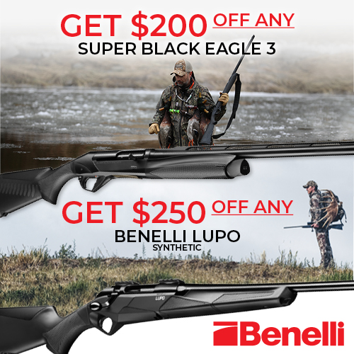 Benelli Fall Rebate 500x500.jpg