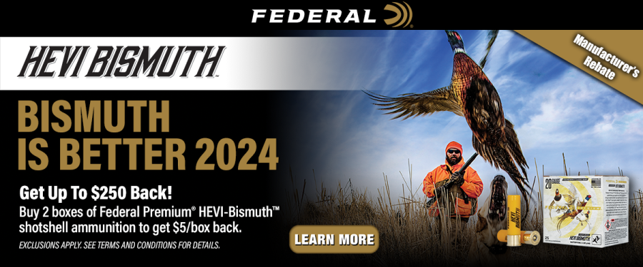 Federal_BismuthIsBetter_R2.png