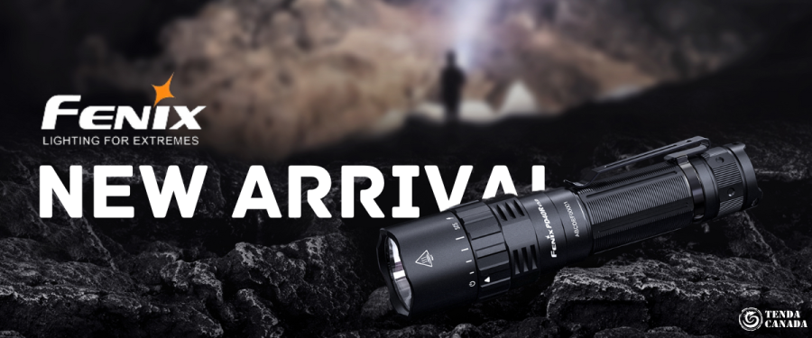 fenix-banner-1.png