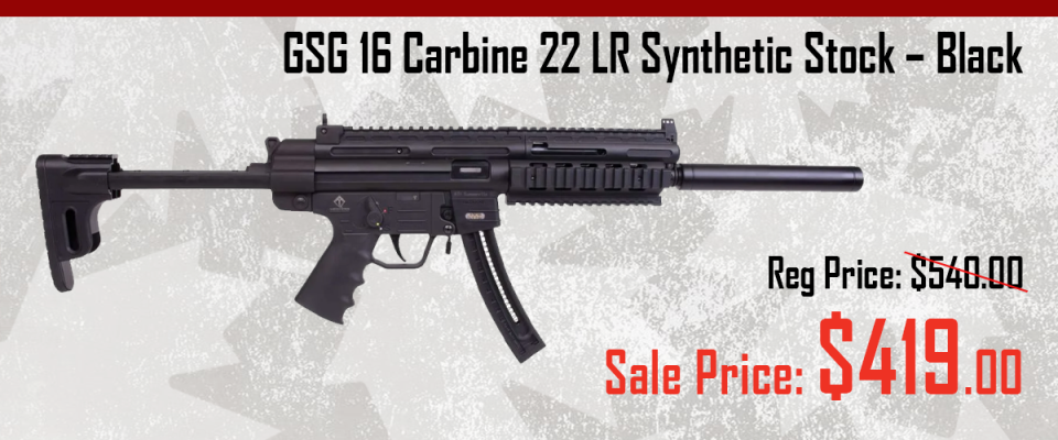 gsg16.png