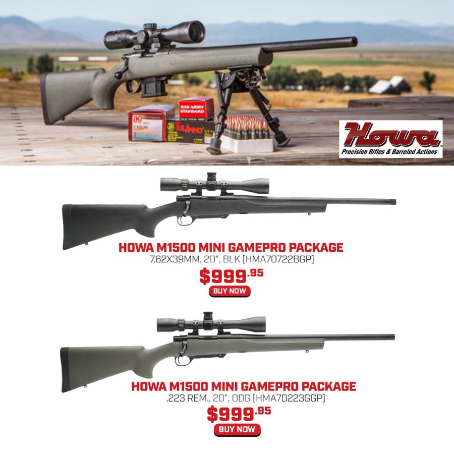 HOWA.jpg
