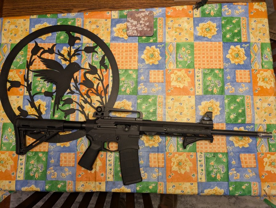 MRA Renegade bolt 223 Wylde.jpg