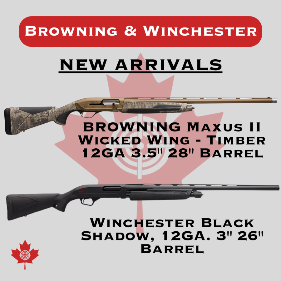 New Arrivals.png