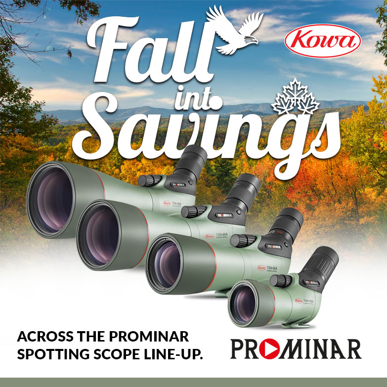 Prominar-Fall-Promo-2025-Square.jpeg