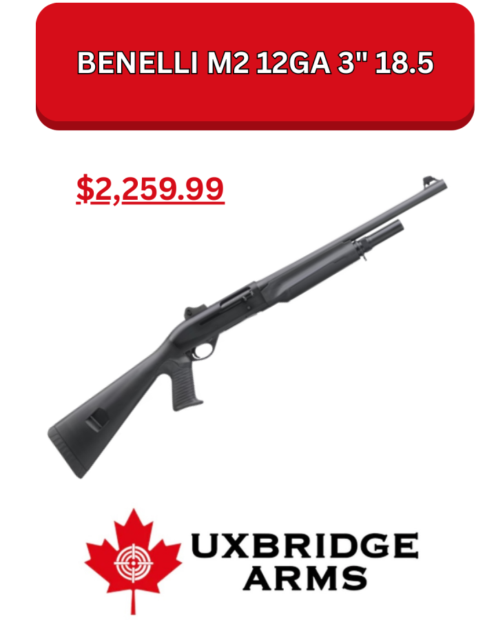 $ real m2.png