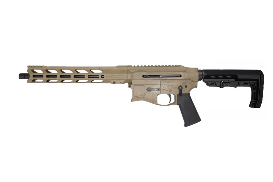 Renegade FDE Cerakote.jpg