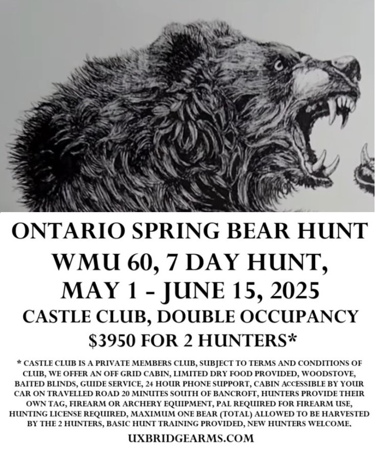 spring_bear_hunt_5_(1)[1].jpg