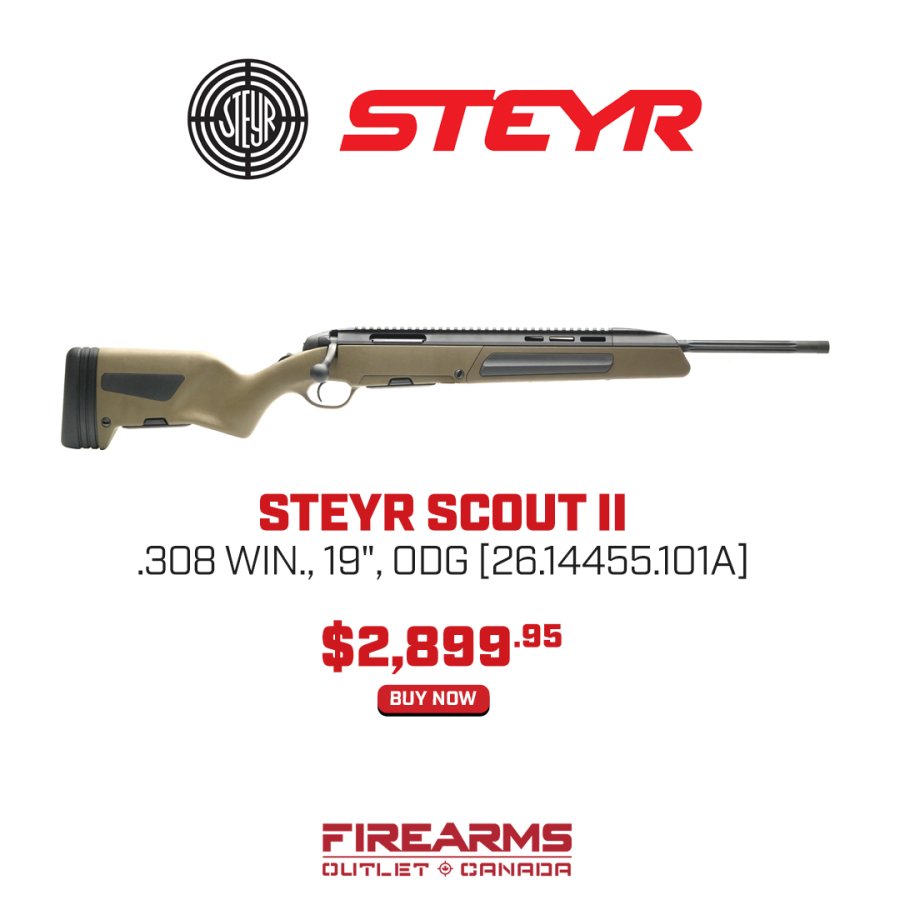 STEYR.jpg