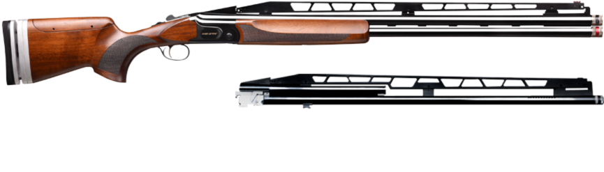 Untitled design (25).png