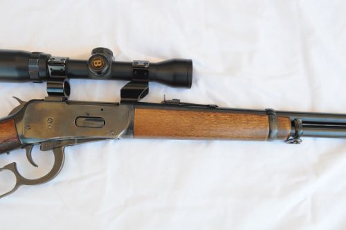 Winchester 2024.JPG