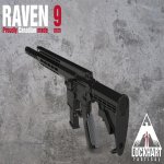 RAVEN9-12HG7-min.jpg