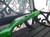 green RIA 003.JPG green RIA 003.JPG