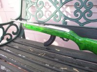 green RIA 002.JPG green RIA 002.JPG