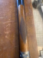 IMG_7943.jpeg