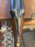 IMG_7948.jpeg