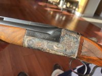 IMG_1993.jpeg