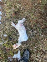 IMG_7141.jpeg IMG_7141.jpeg