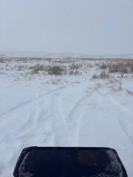 IMG_1733.jpeg IMG_1733.jpeg