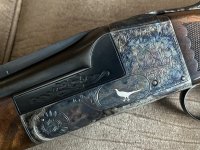 IMG_2228.jpeg