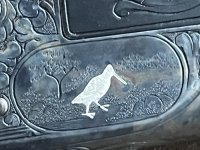 IMG_2232.jpeg