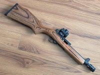 10-22 shortie.jpg 10-22 shortie.jpg