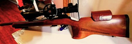 CZ457 VMTR Cheek Pad 6-12-2024 B.jpg