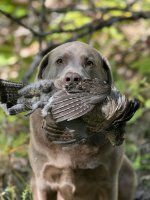 IMG_0197.jpeg