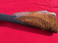 IMG_3405.jpeg IMG_3405.jpeg