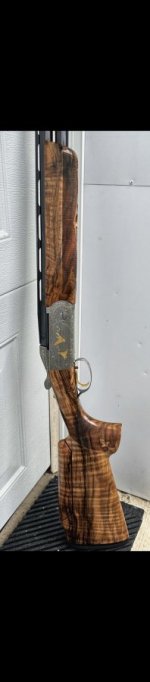 IMG_3430.jpeg IMG_3430.jpeg