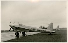 israeli mosquito.jpg