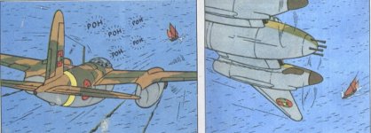 CC tinton red sea sharks.jpg