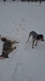 20251217_110333.jpg