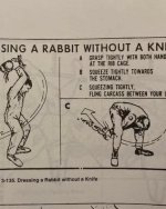 dress a rabbit.jpg