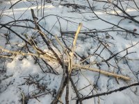 1000000502.jpg 1000000502.jpg