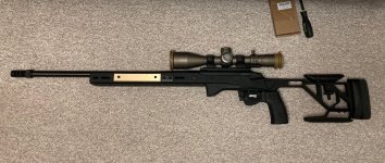 IMG_9025.jpeg IMG_9025.jpeg