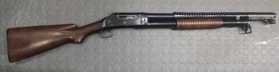 20260402-035933.jpg 20260402-035933.jpg