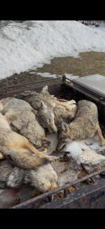 IMG_3398.png IMG_3398.png