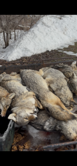 IMG_3399.png IMG_3399.png