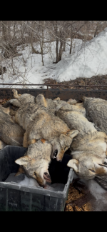 IMG_3400.png IMG_3400.png