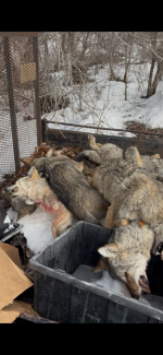 IMG_3401.png IMG_3401.png