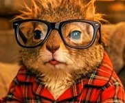 IMG_1256.jpeg IMG_1256.jpeg