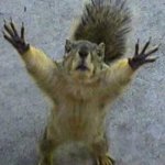 images_400x400.jpg images_400x400.jpg